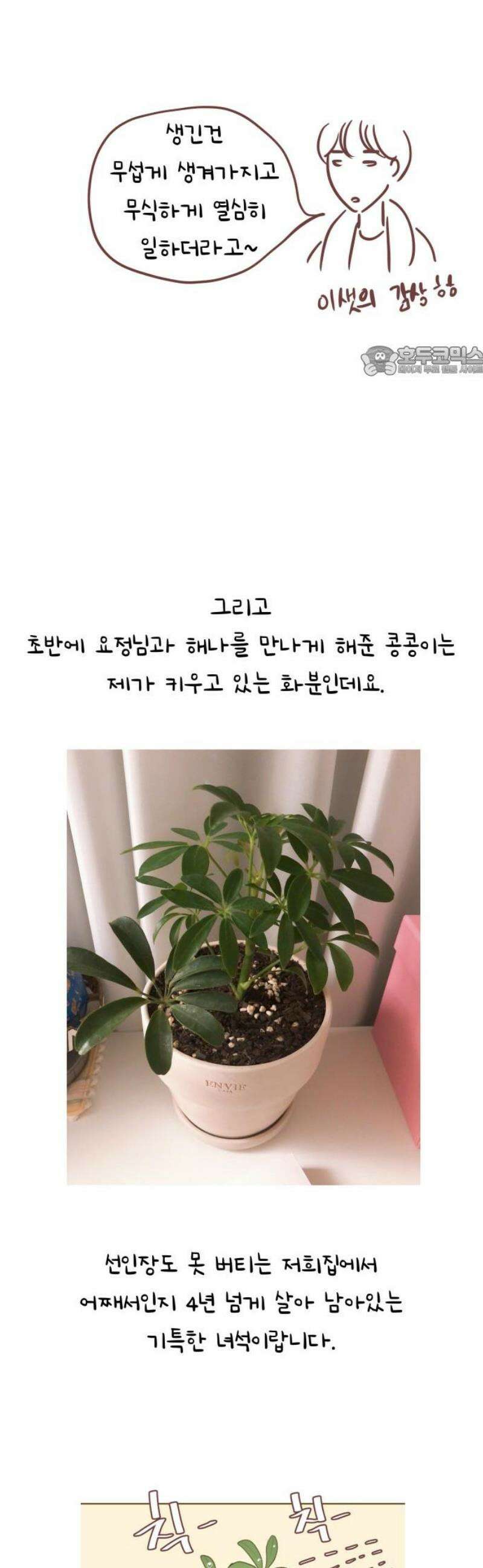 윈터브리즈 [후기] 9