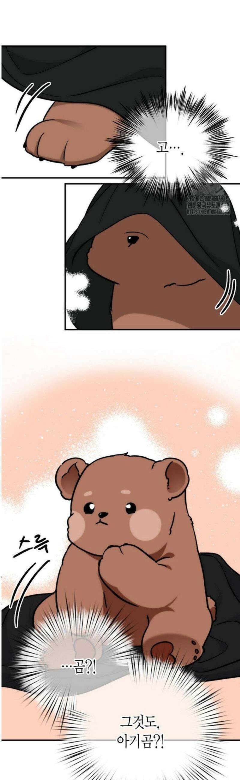 디어 마이 베어 1화 44