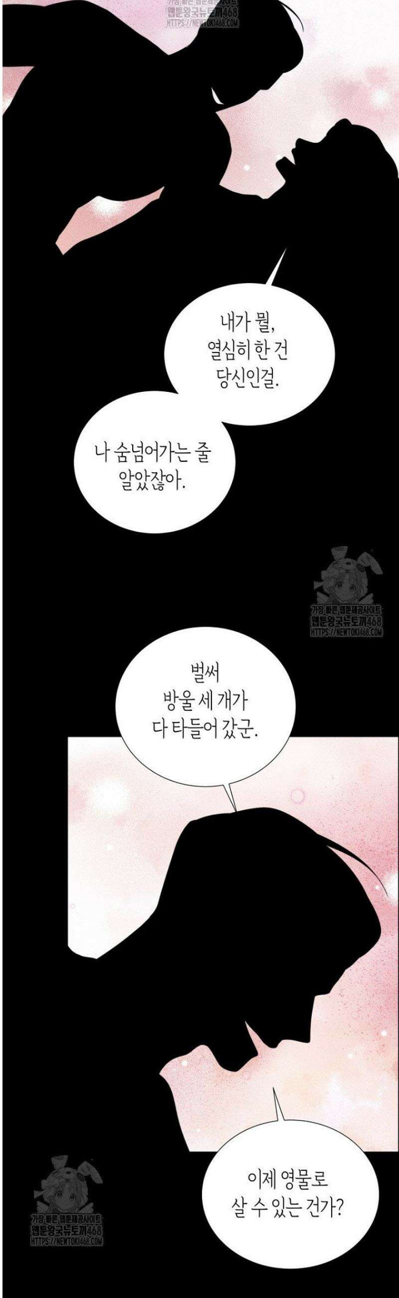 디어 마이 베어 13화 10