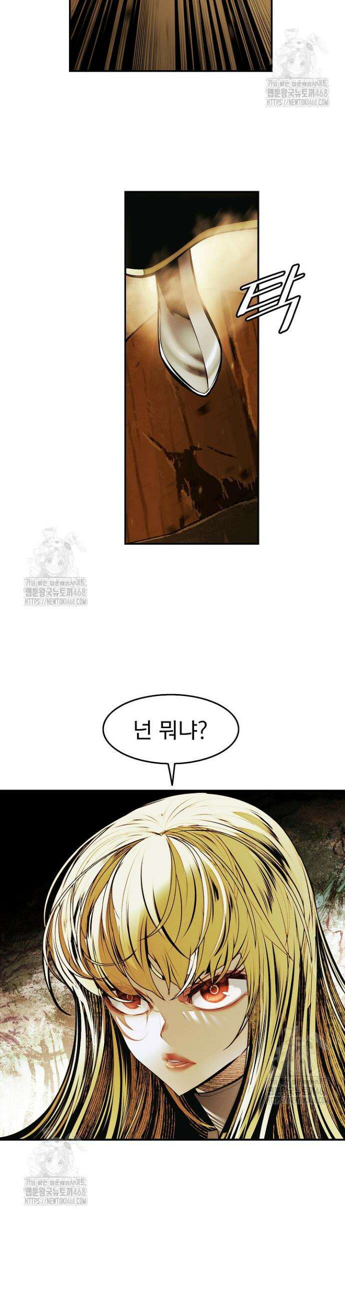 묵향 다크레이디 269화 22
