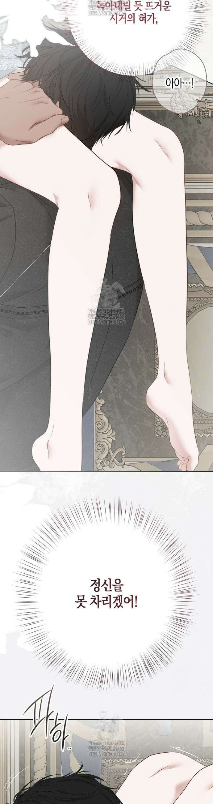 역하렘 게임 속으로 떨어진 모양입니다 [19세 완전판] -나드리카＆시거 외전- 41
