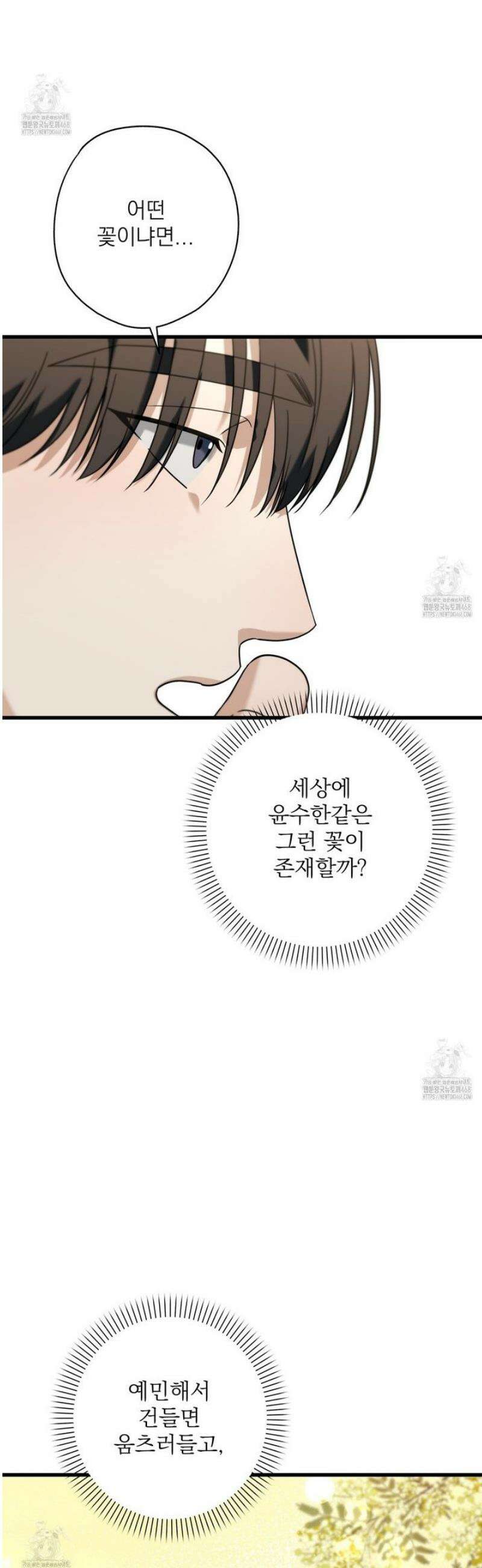 캔디 계약서 외전 12화 5