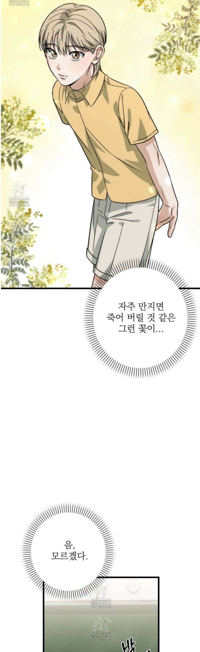 캔디 계약서 외전 12화 6