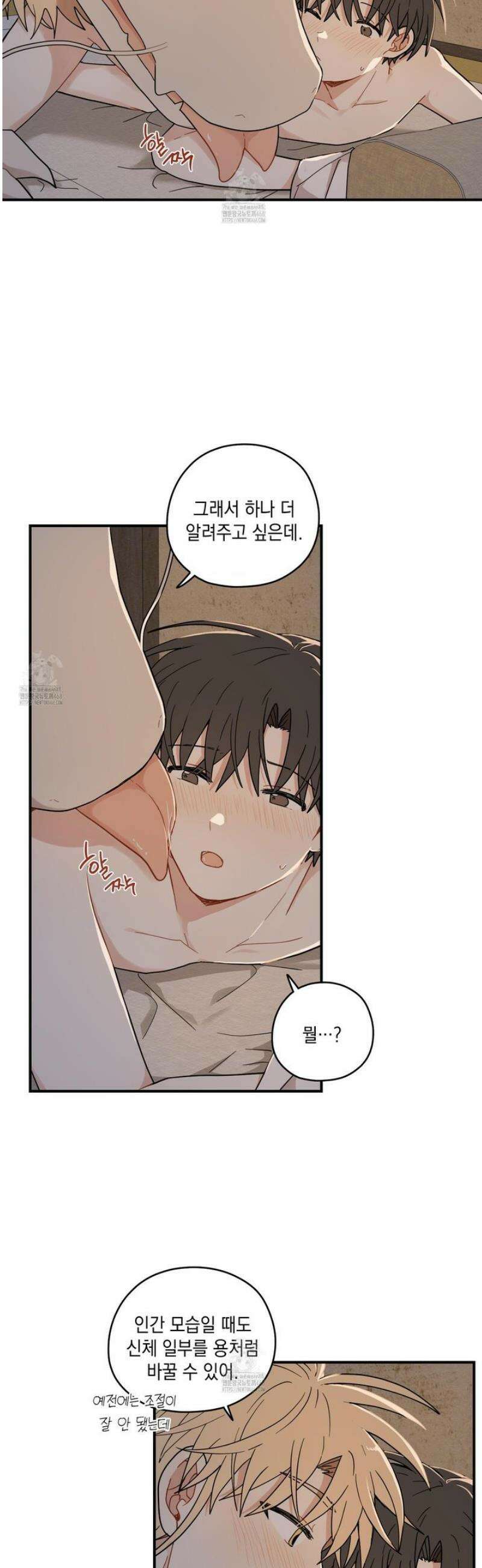 개나리가 떨어진 길 99화 20
