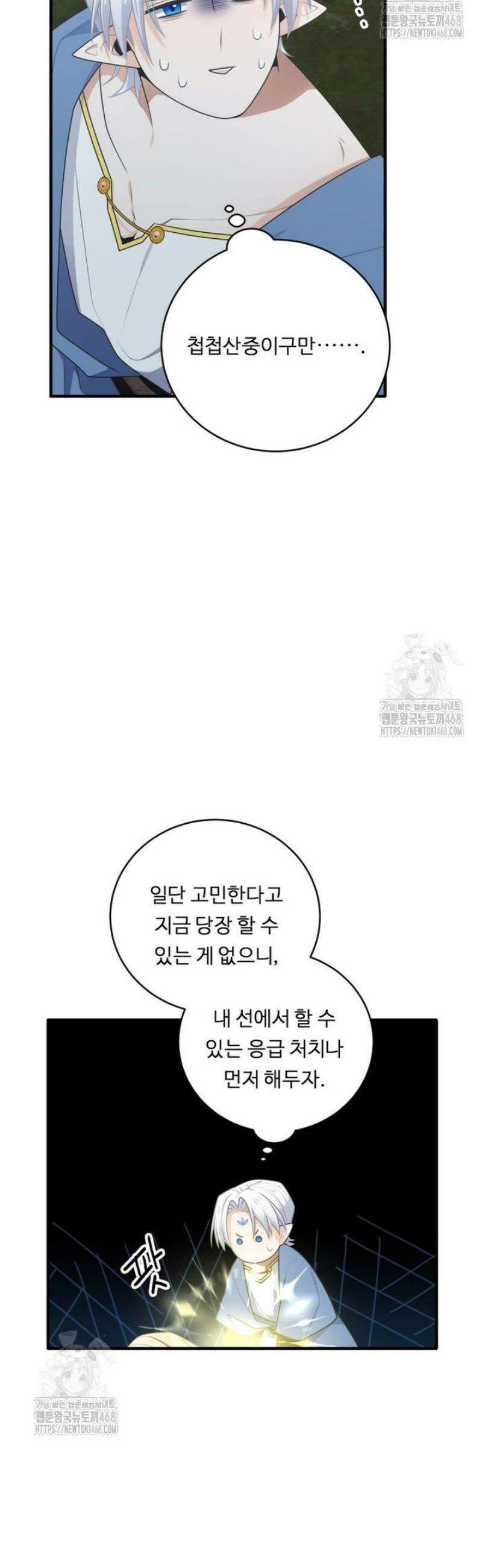 정령왕 엘퀴네스 331화 5