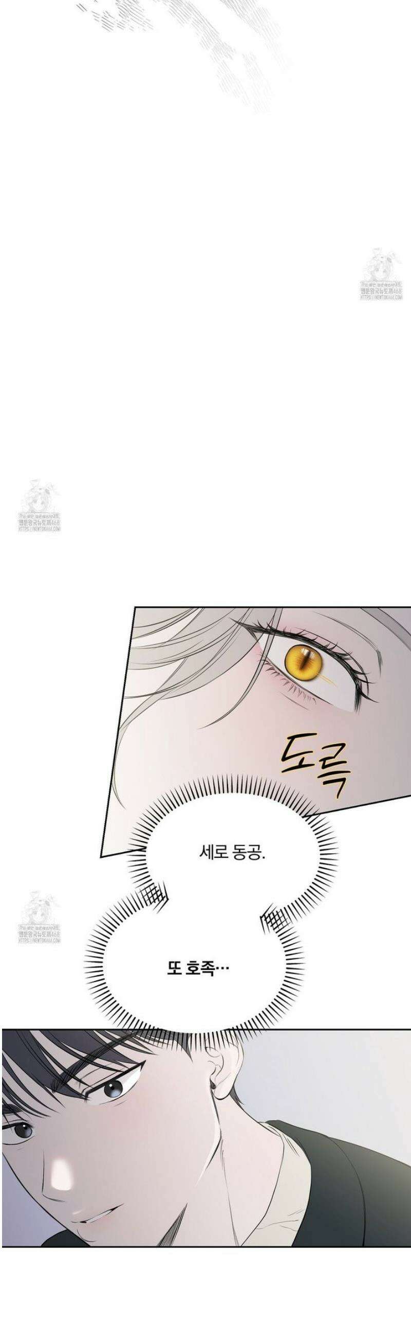 숨어드는 볕 23화 5