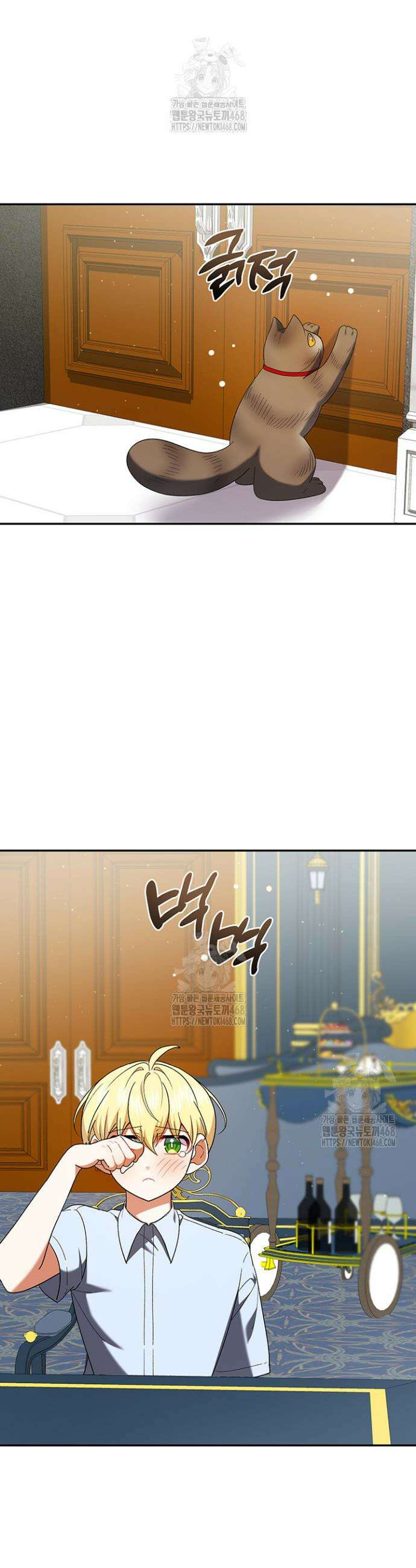한 줄짜리 영애였을 터 241화 10