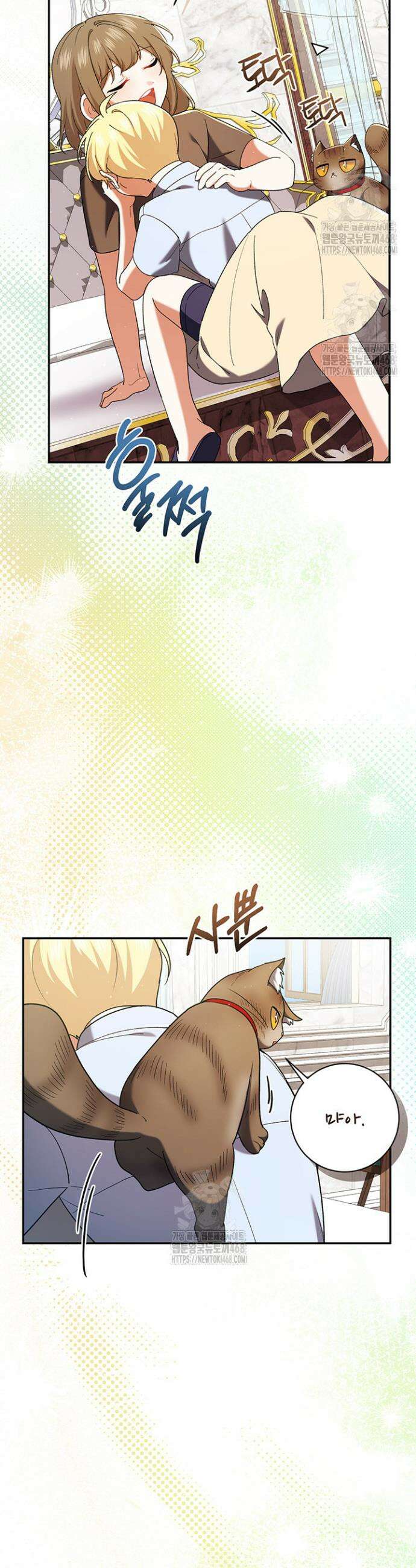 한 줄짜리 영애였을 터 241화 24
