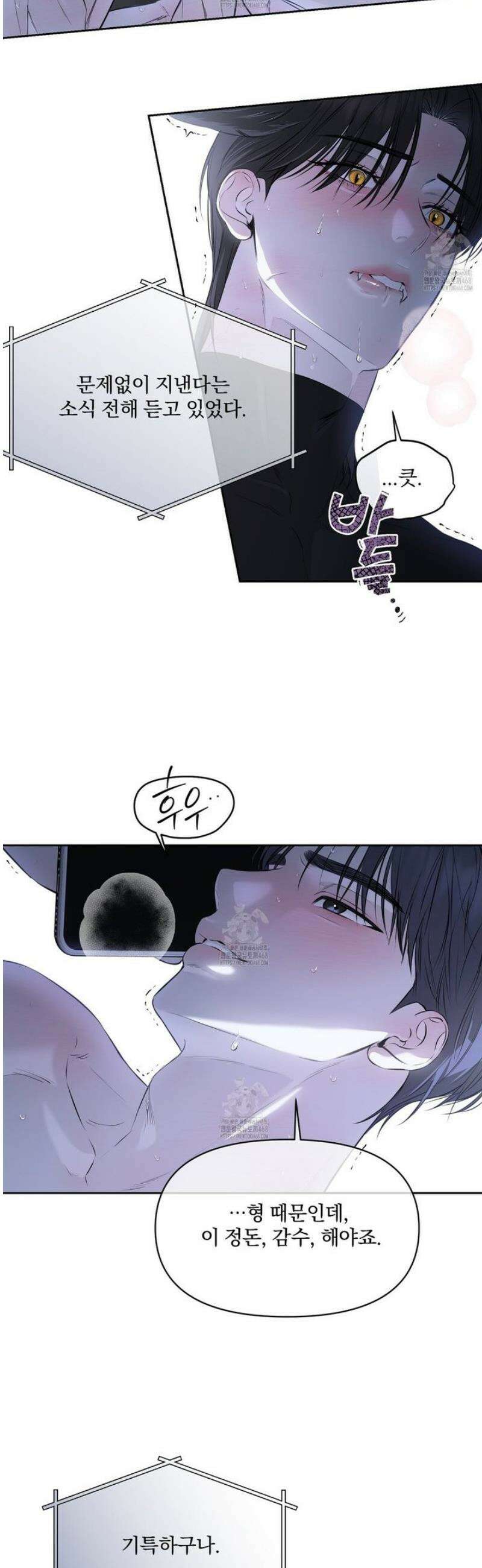 숨어드는 볕 25화 6