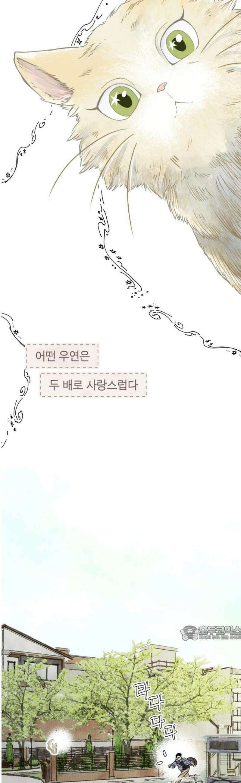 아이캣치유 ＃02． 도시의 행운 2
