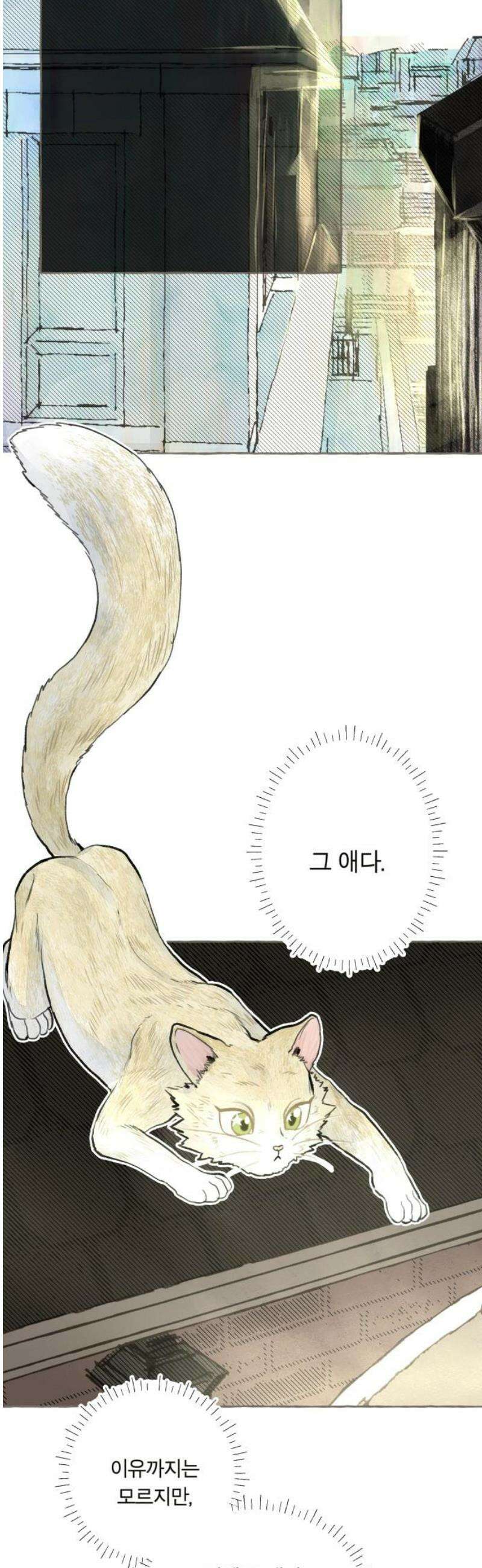 아이캣치유 ＃02． 도시의 행운 21