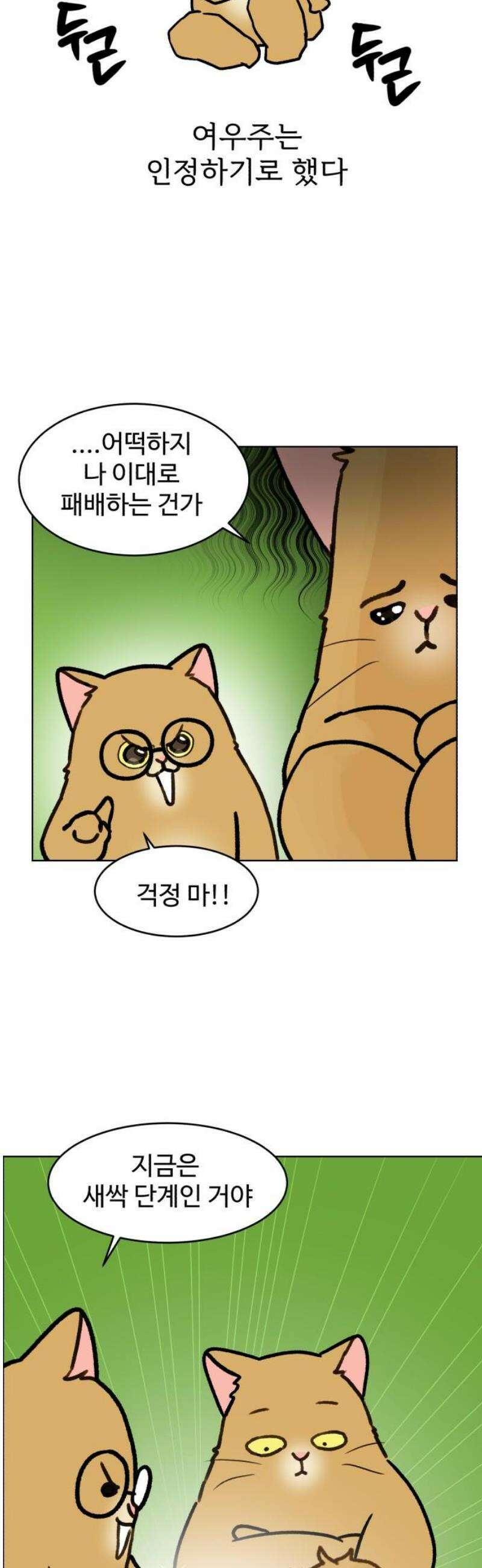옹달샘 프로젝트 29화 북부선임 꼬시기 5