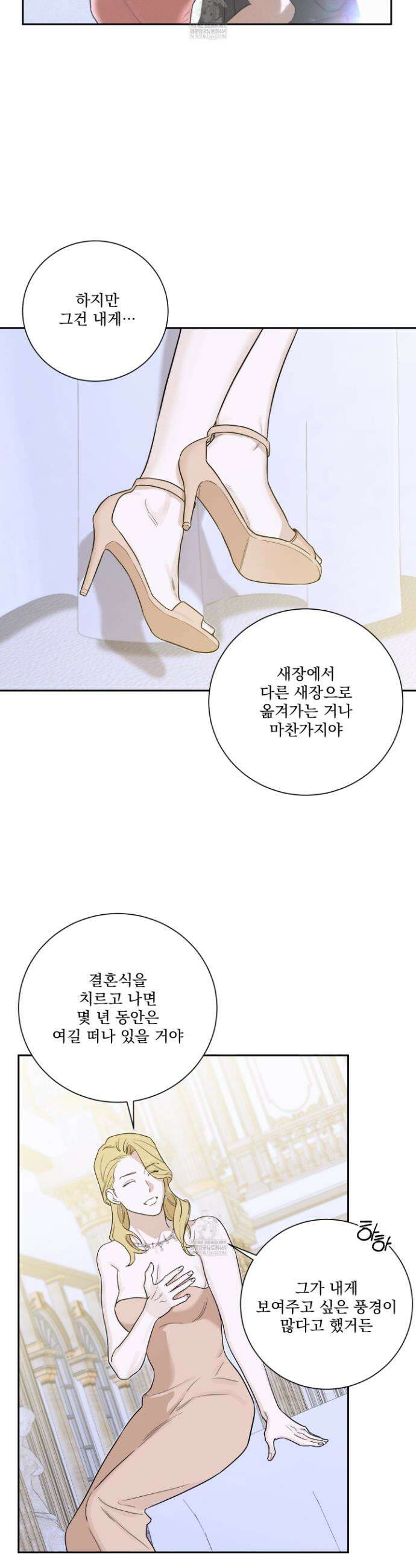 불쾌의 미학 51화 18