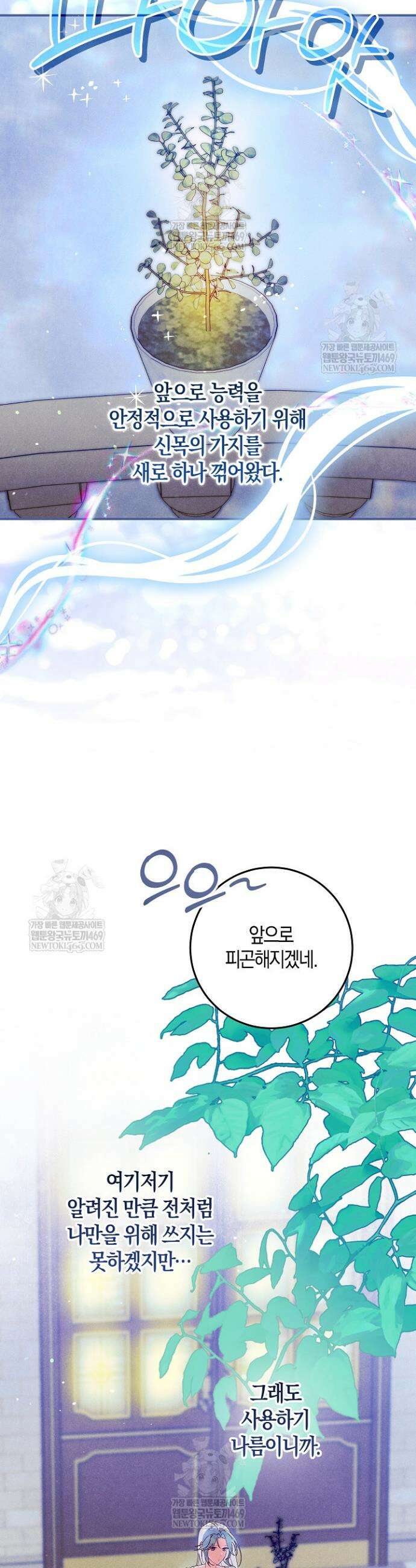 시한부 연인과 동거 생활 중입니다 78화 13