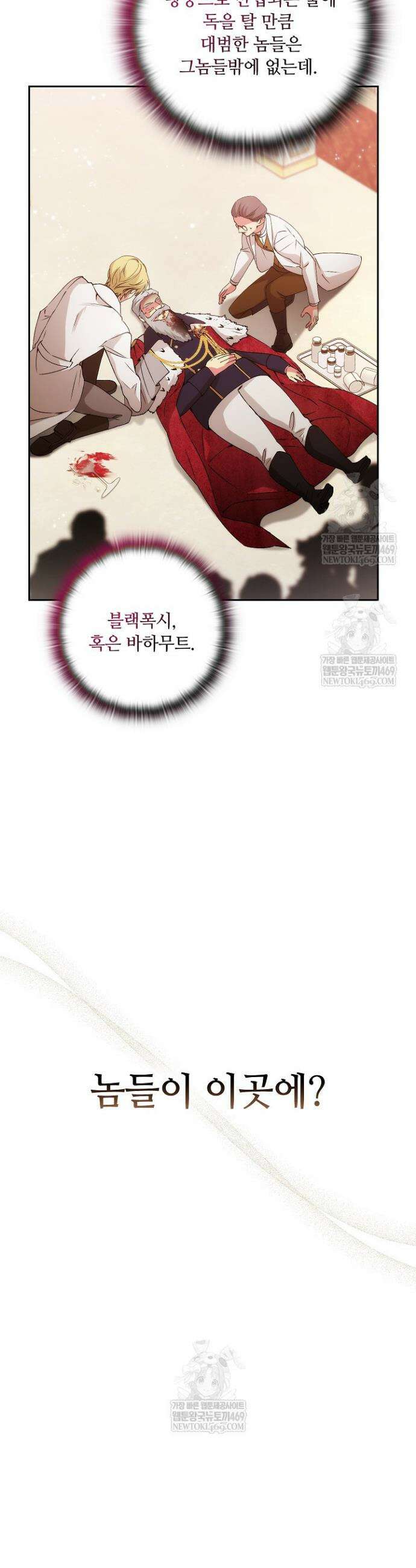 아도니스 288화 6