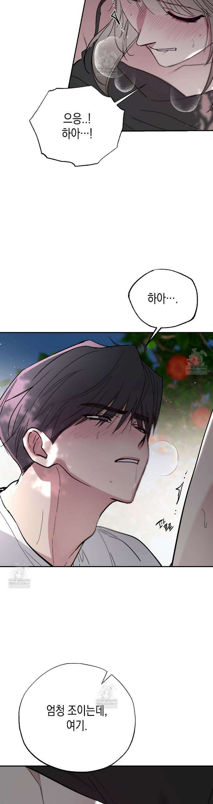 과수원의 사정 5화 25