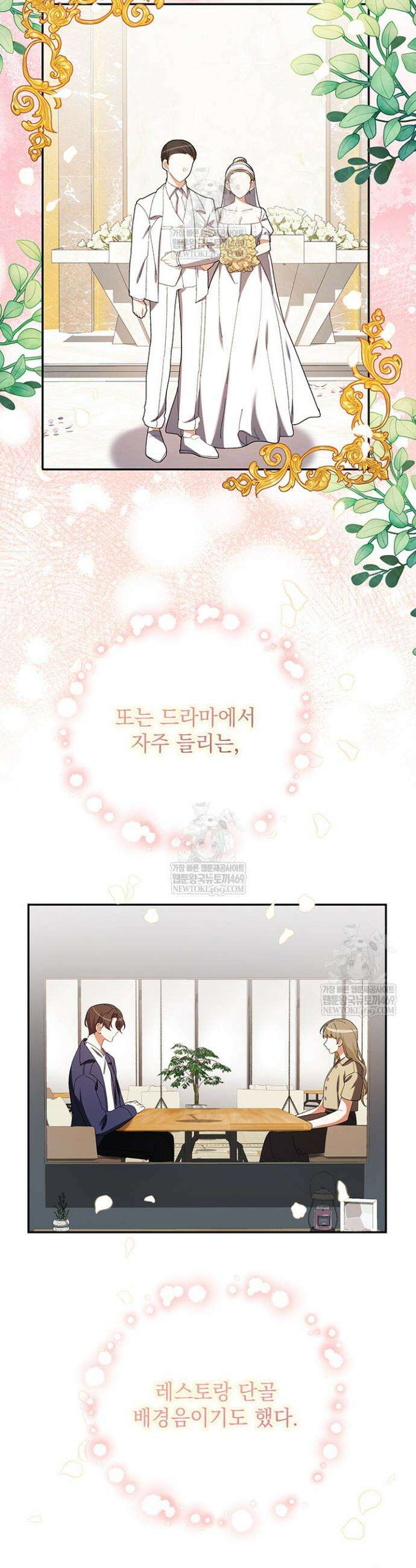 한 줄짜리 영애였을 터 245화 16