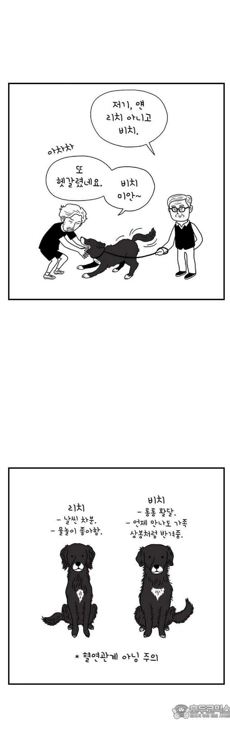 펫로스클럽 ＃8． 상실의 잠수 교실 3 4