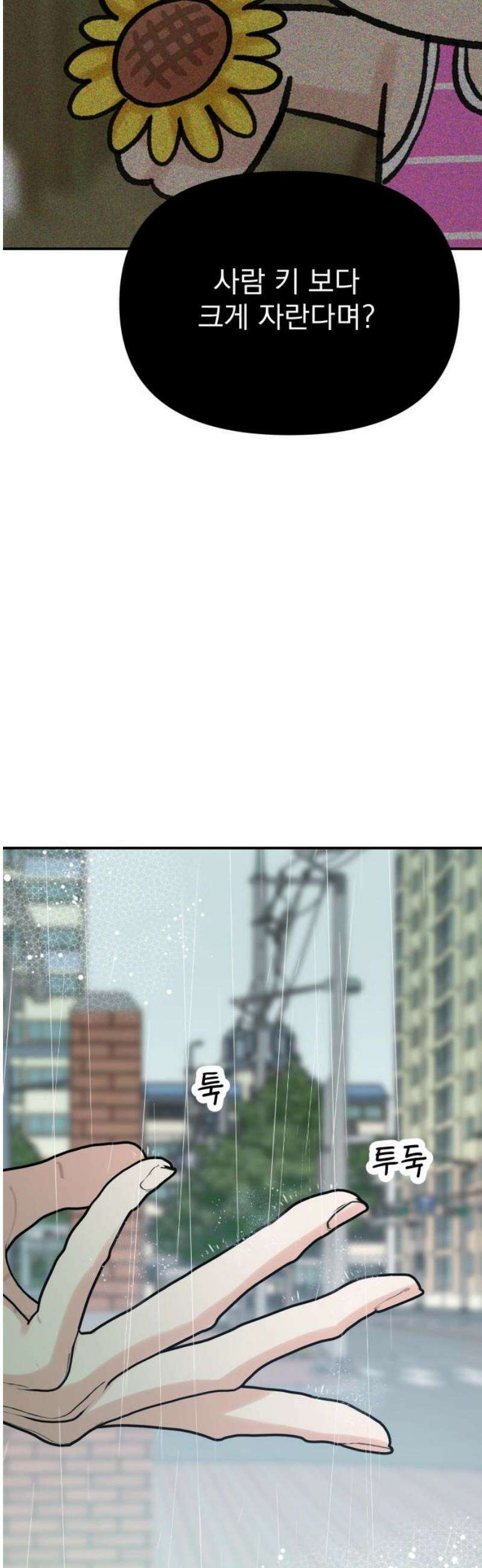 빛나는 나나나나 71화． 네가 보는 세상 25