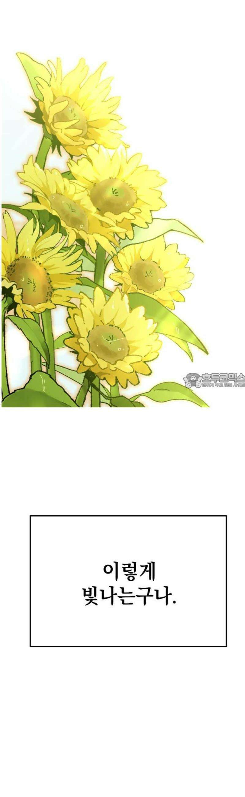 빛나는 나나나나 71화． 네가 보는 세상 43