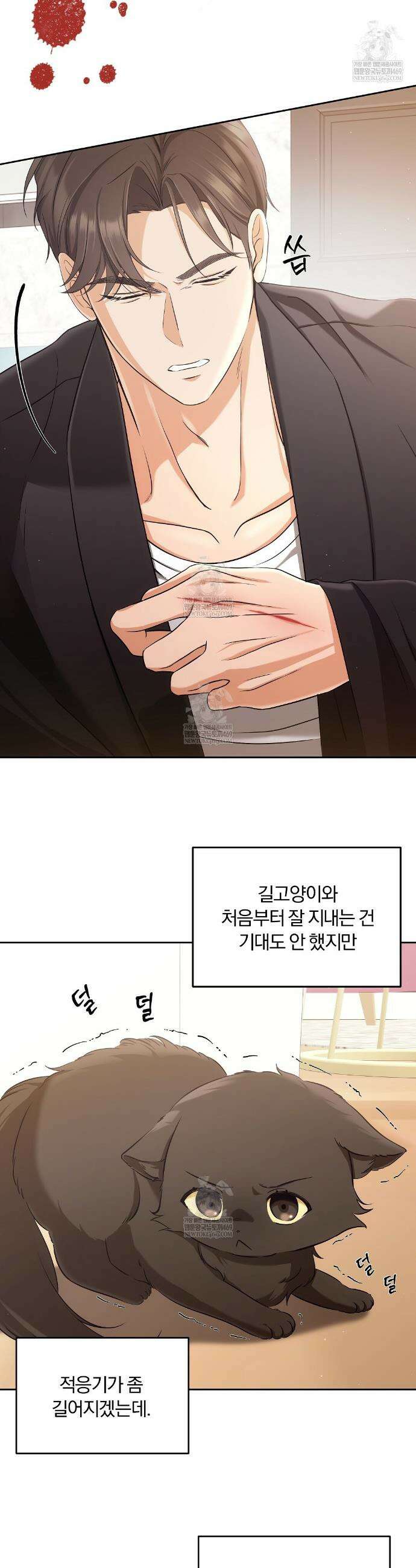 고양이 테라피 2화 5