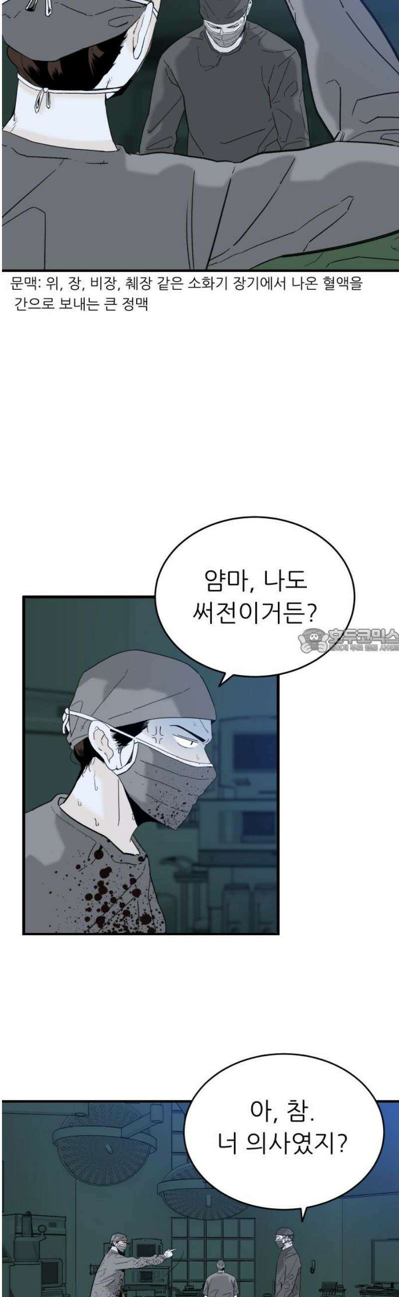 닥터아미 33화 28