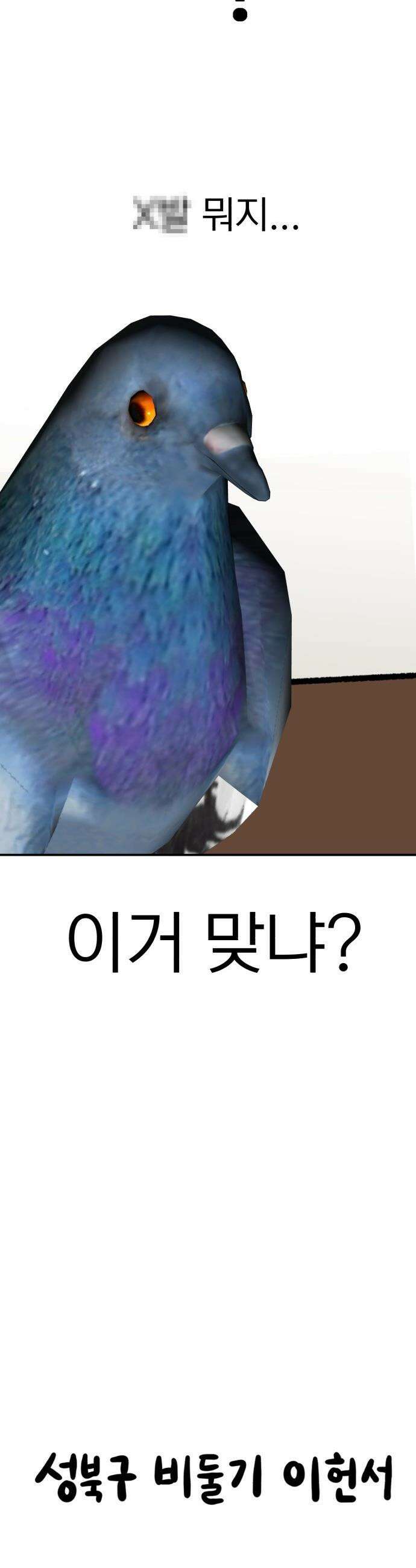 성북구 비둘기 이헌서 58화) 5