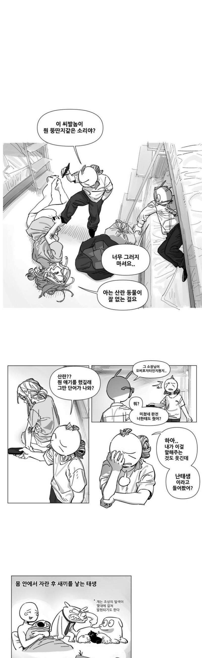 음지탐구보고서 36화 1