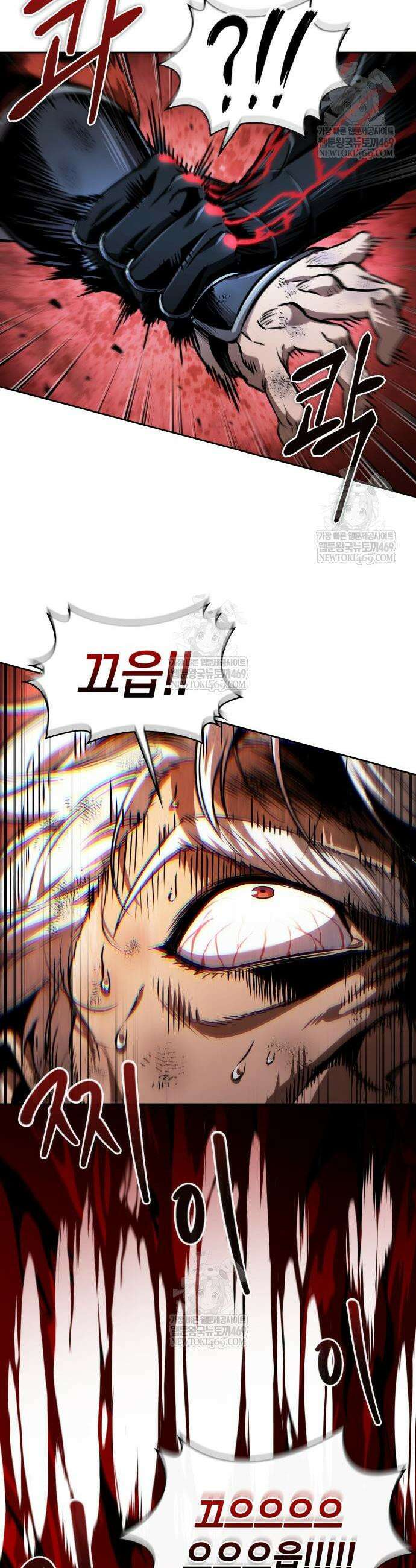 나노마신 290화 3