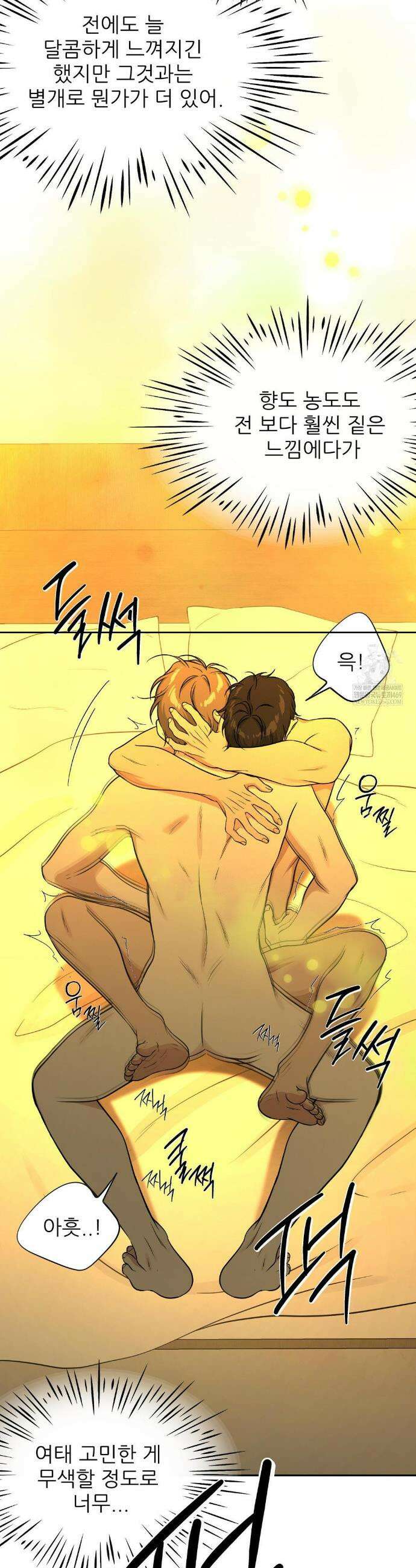 HONEYBEE (허니비) 35화 12