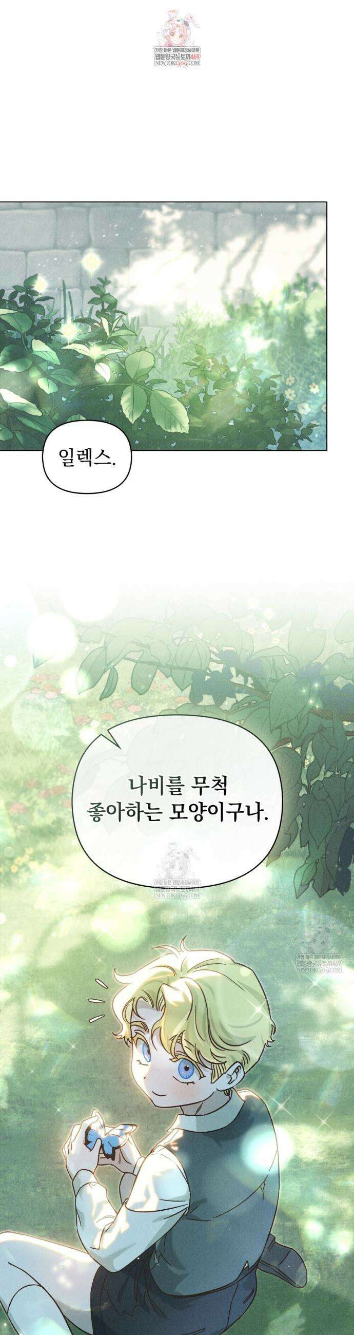 안개를 삼킨 나비 프롤로그 1