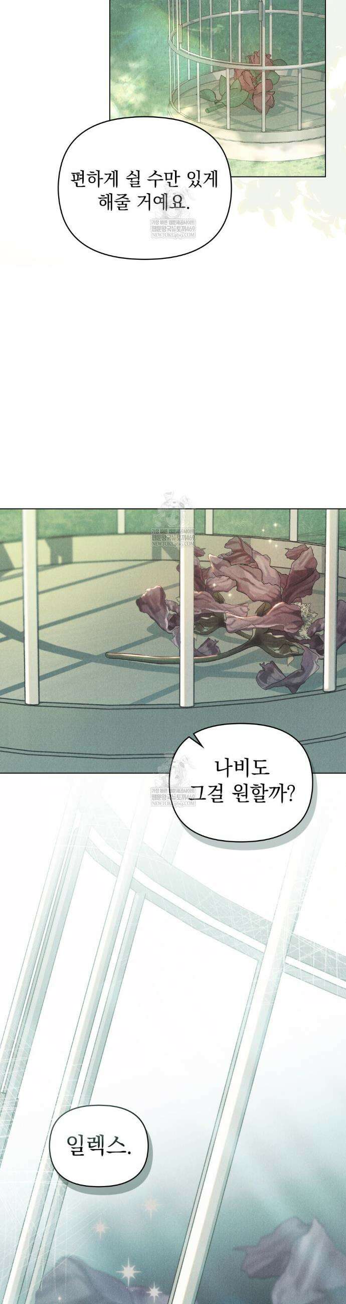 안개를 삼킨 나비 프롤로그 6