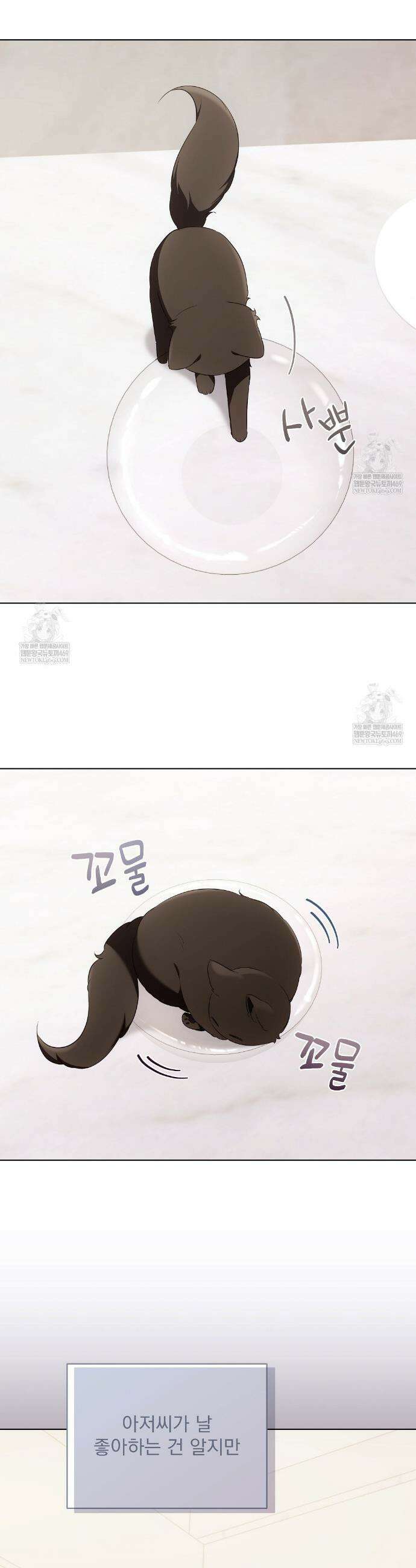 고양이 테라피 19화 5