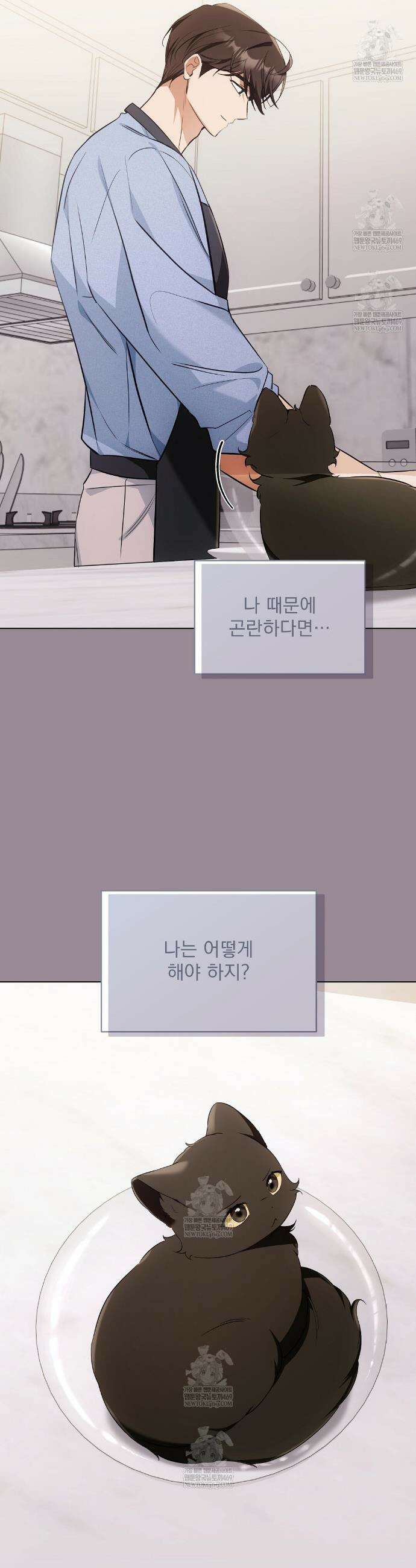 고양이 테라피 19화 6