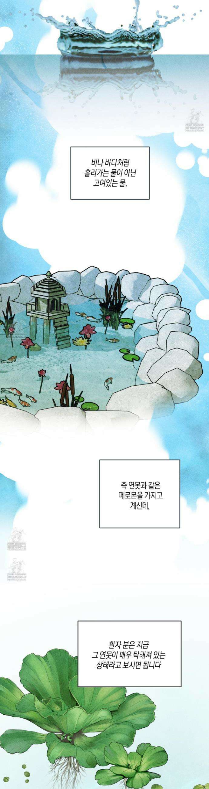 꽃이 지는 연못 65화 8