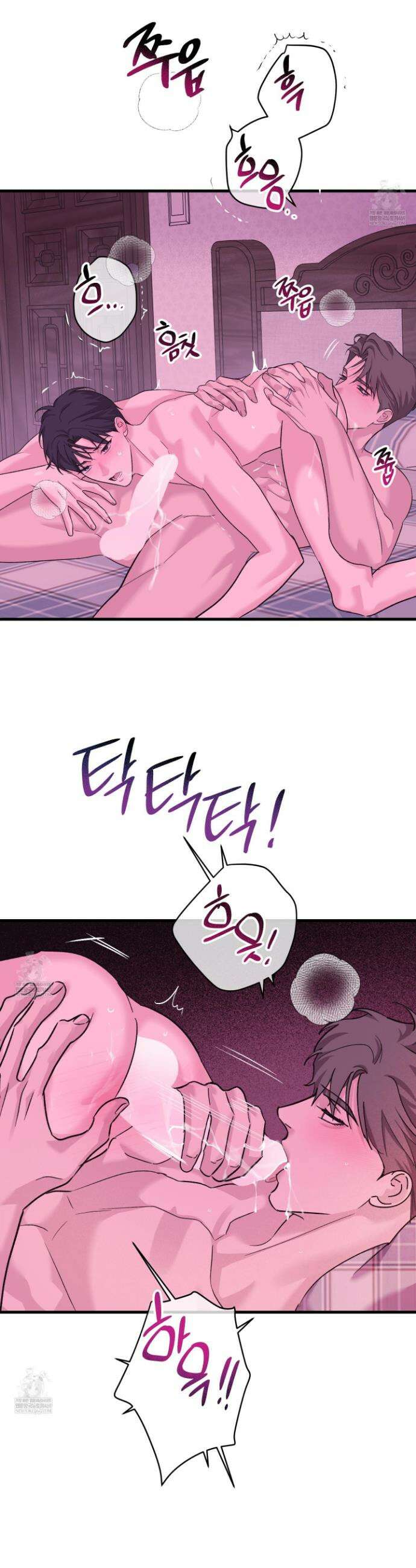 임시 연애 경보 46화(최종화) 7