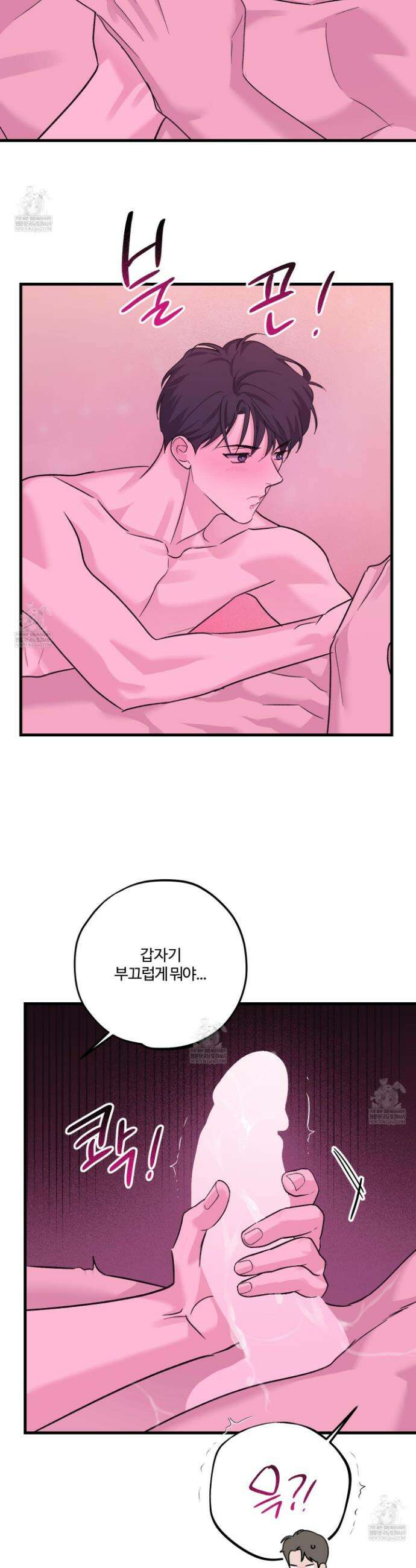 임시 연애 경보 46화(최종화) 12