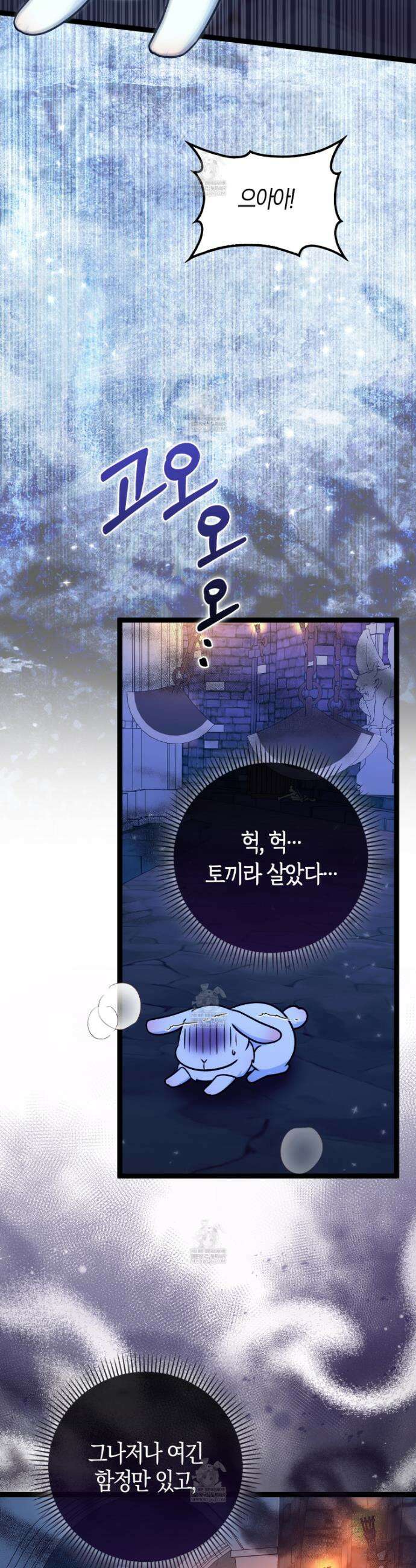 토끼라뇨, 누가 봐도 맹수인데 43화 3