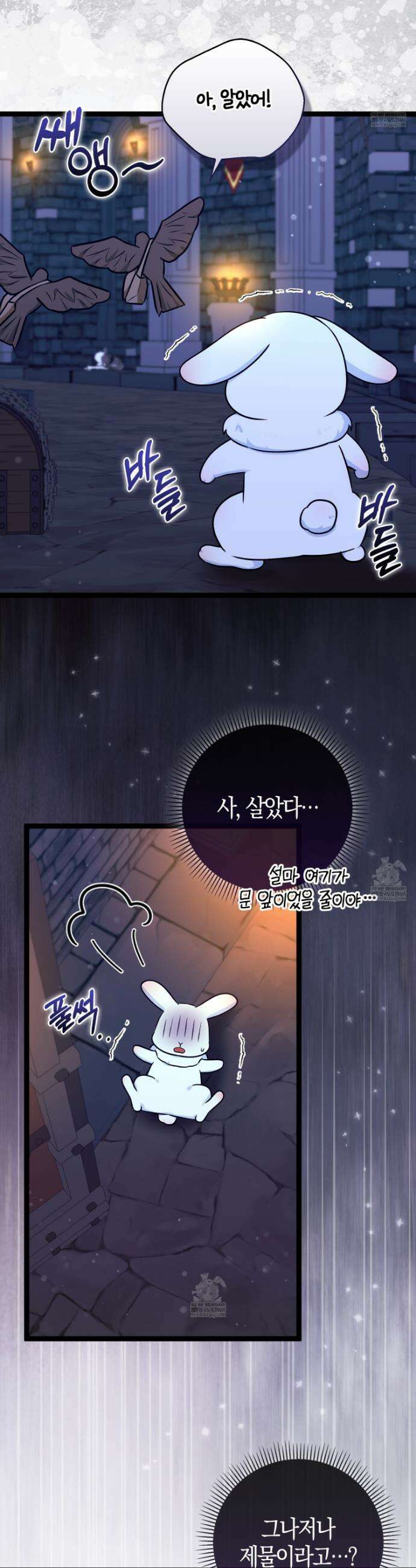토끼라뇨, 누가 봐도 맹수인데 43화 6