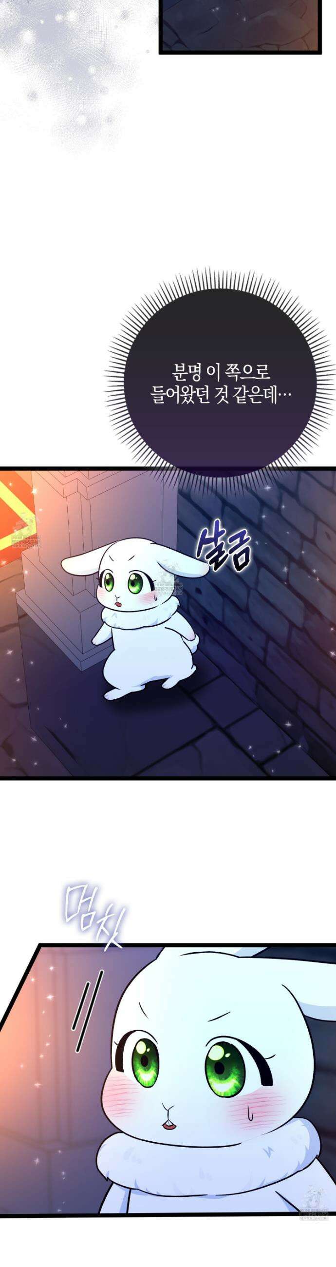 토끼라뇨, 누가 봐도 맹수인데 43화 8