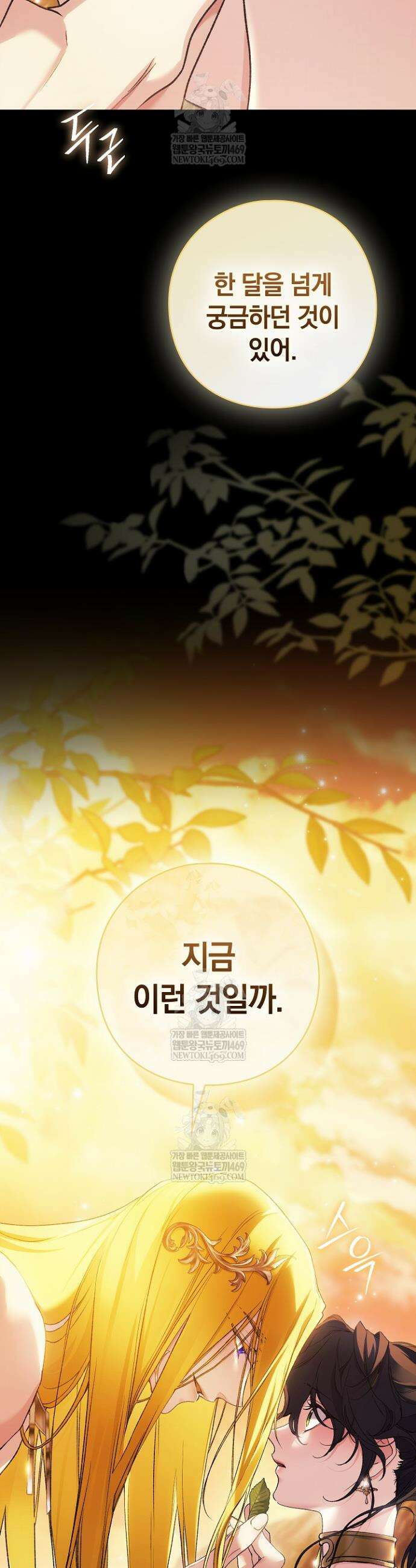 여신들을 위하여 : 다프네를 위하여 34화 36