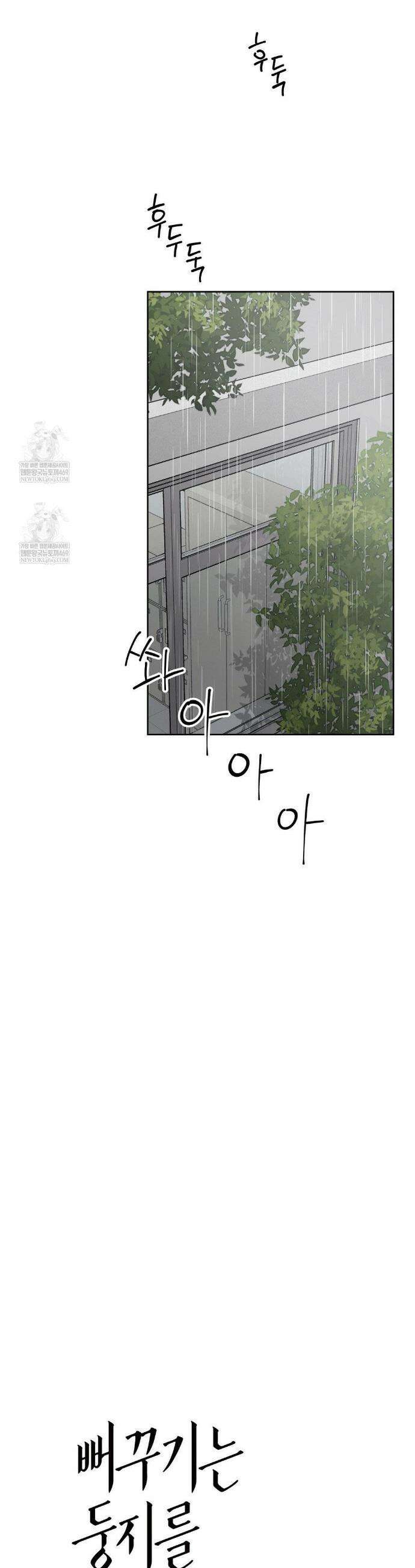뻐꾸기는 둥지를 떠나지 않는다 36화 6