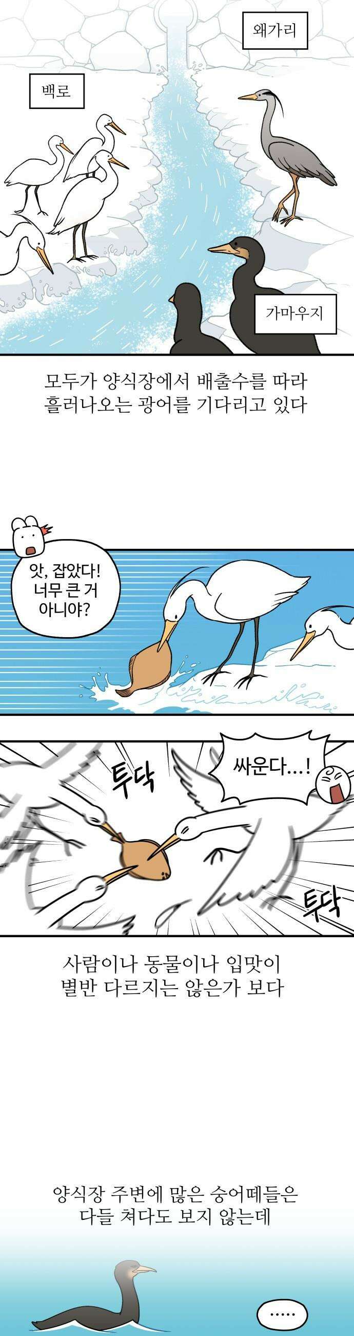 먹는 인생2 - 30화 광어회 2