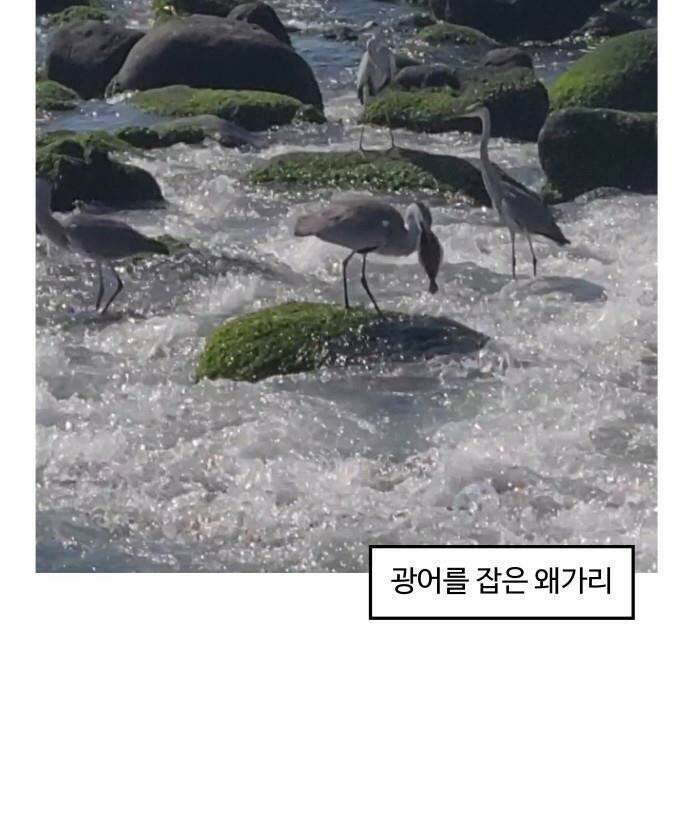먹는 인생2 - 30화 광어회 12