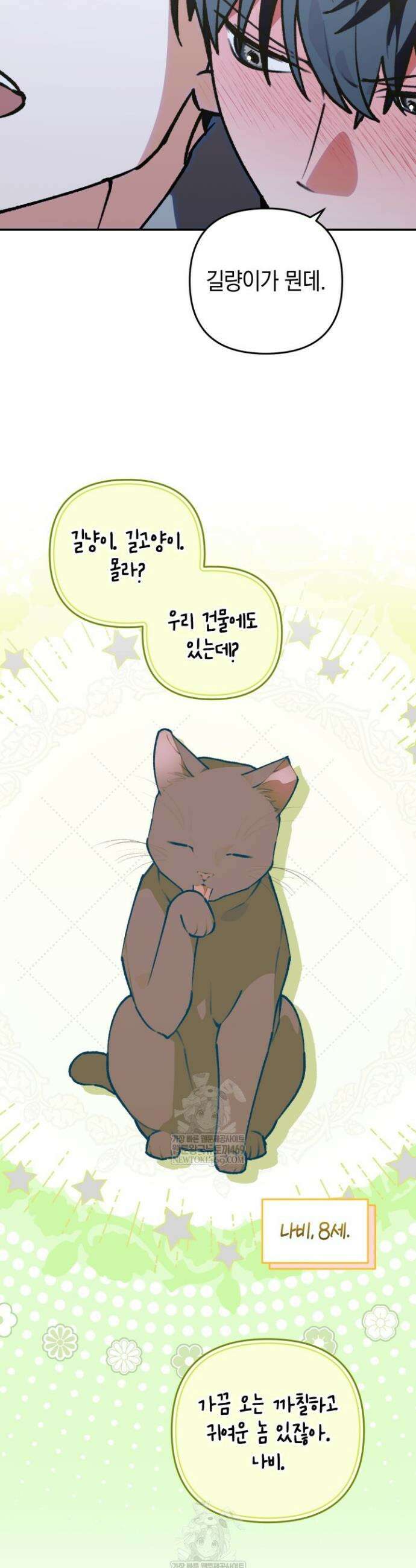 개코도 모르면서 24화 7