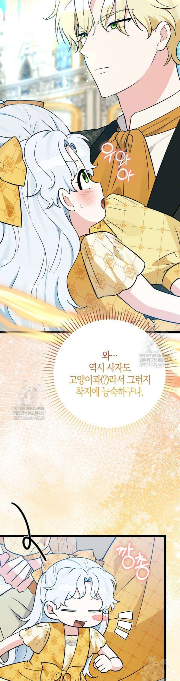 토끼라뇨, 누가 봐도 맹수인데 47화 11