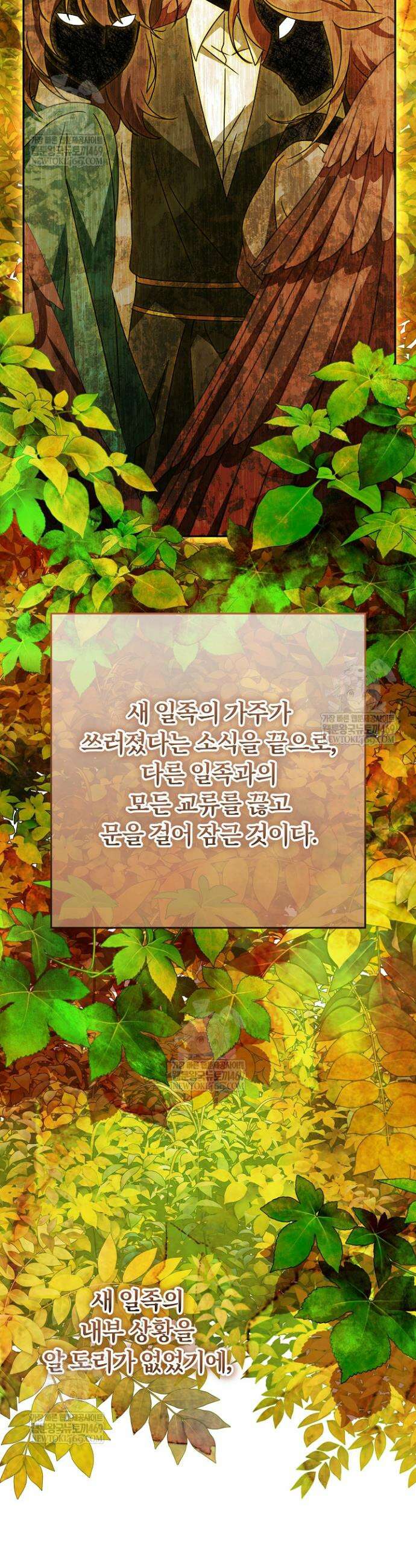 늑대 저택의 사랑받는 새아가 70화 9