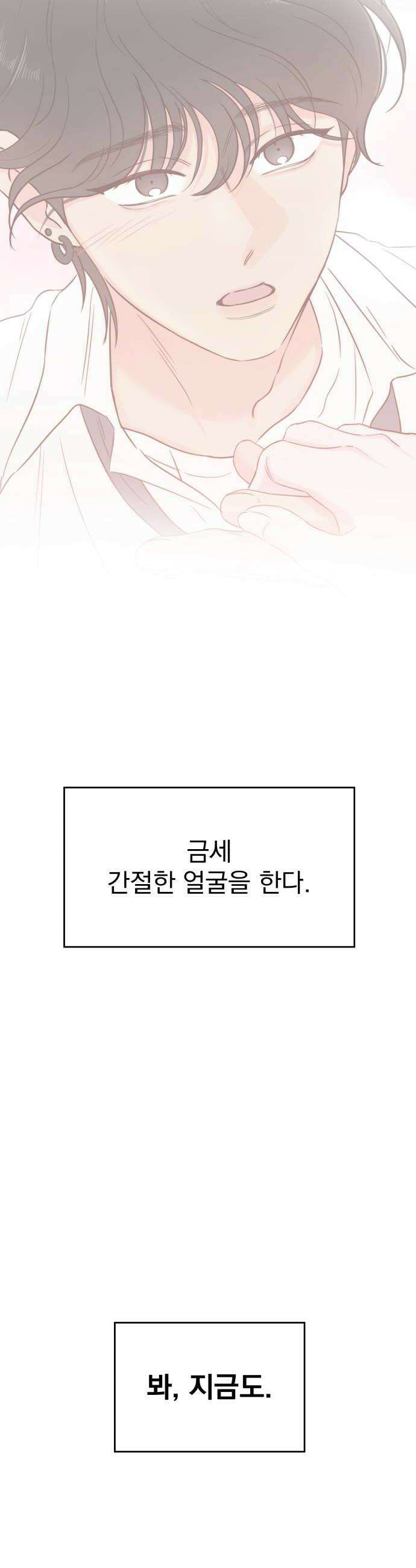나의 짭사랑 47화 8