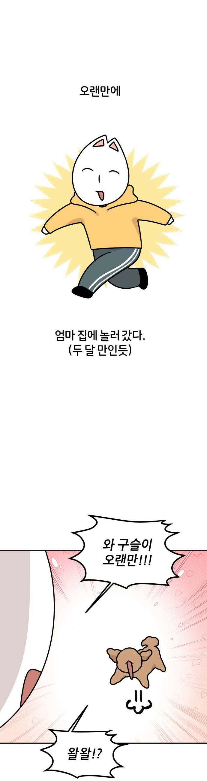 시바, 만만치 않다 81화 보호자들 근황토크 1