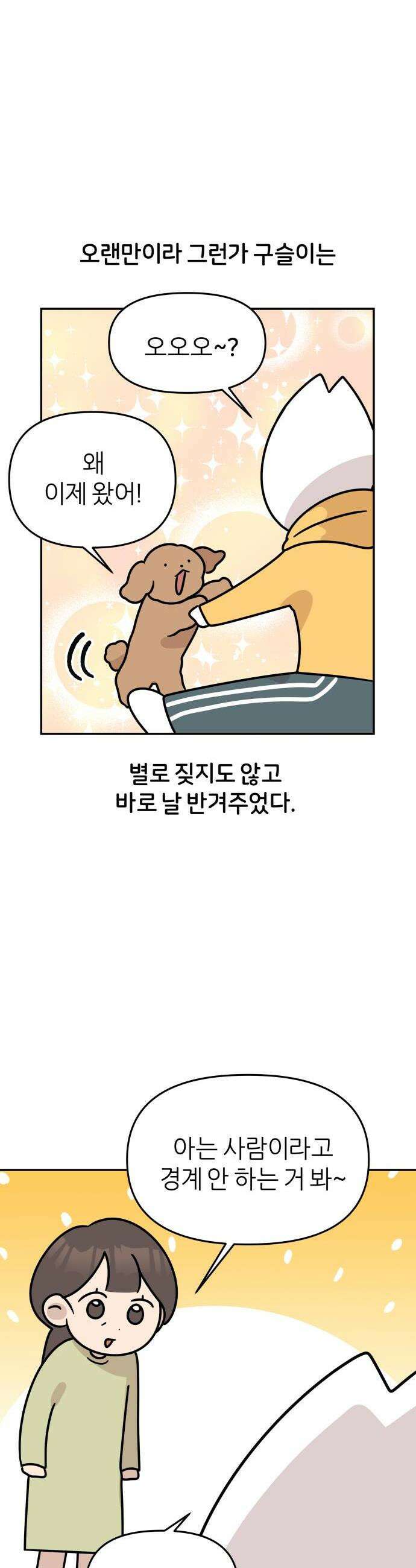 시바, 만만치 않다 81화 보호자들 근황토크 2